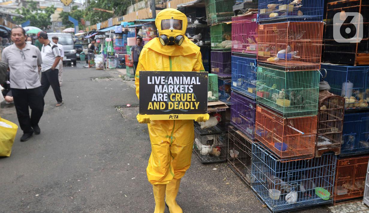 Aksi ini sekaligus mengajak masyarakat untuk mempertimbangkan gaya hidup vegan sebagai langkah melindungi manusia dari ancaman serupa di masa depan. (Liputan6.com/Herman Zakharia)