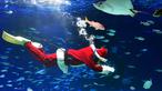 Penyelam berkostum sinterklas berenang dengan ikan di Sunshine Aquarium selama acara promosi Natal di Tokyo, Jumat (14/12). Sunshine Aquarium adalah rumah dari hampir 37.000 ekor ikan dan 750 jenis hewan laut. (Photo by Kazuhiro NOGI / AFP)