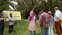 ZSL memberikan pelatihan kepada para petani kebun kelapa sawit plasma (Liputan6.com/Nefri Inge)