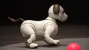 Bentuk robot anjing keluaran Sony yang ditampilkan saat konfrensi pers di Tokyo, Jepang (1/11). Menurut pihak Sony, robot Aibo baru ini dapat membentuk ikatan emosional dengan seluruh anggota keluarga yang memeliharanya. (AFP Photo/Kazuhiro Nogi)