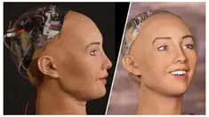 Robot ini pun memiliki hasrat untuk menjadi manusia normal yang bisa menikah dan memiliki anak.