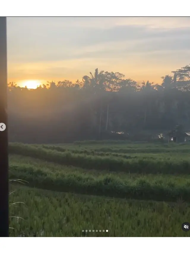 6 Potret Rumah Ayah Christian Sugiono di Bali, Sejuk dengan Pemandangan Sawah