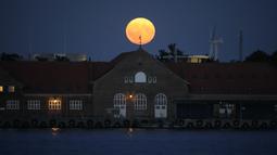 Bulan purnama terbesar atau supermoon menghiasi langit Kopenhagen, Denmark, Senin (19/8/2024). (Thomas Traasdahl/Ritzau Scanpix via AP)