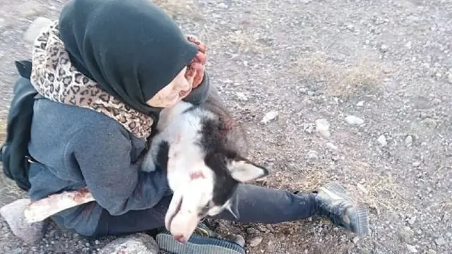 Anjing Sahba, Aseman