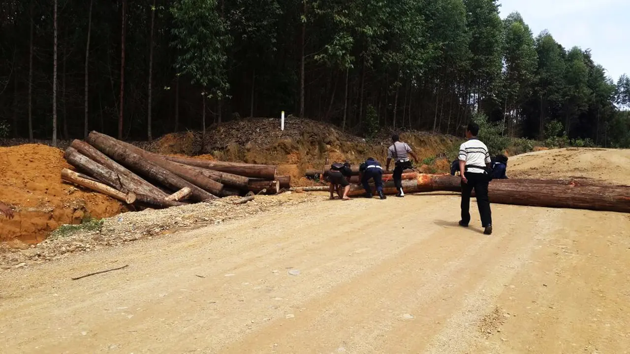 Perambah Hutan