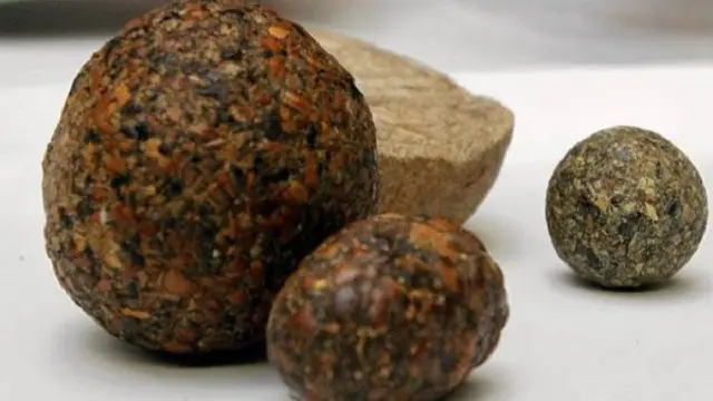 [Bintang] Fakta Unik