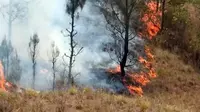 Gunung Batur mengalami kebakaran di bagian puncak kemarin. Petugas langsung melakukan pemadaman agar api tidak meluas. (Istimewa)