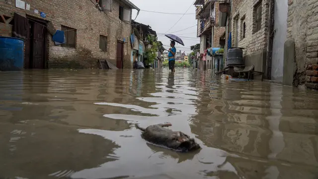 Hujan Monsun Sebabkan Banjir di Ibu Kota Nepal