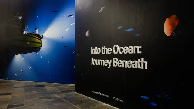 Jelajahi Misteri Laut Dalam Pameran Into the Ocean di ArtScience Museum Singapura