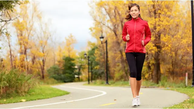 Foto : copyright shutterstock.com