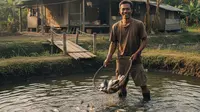 Tips Jualan Ikan Hasil Ternak, Strategi Cerdas Meningkatkan Omzet dan Menarik Pelanggan