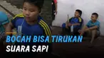 Ada-ada saja tingkah kocak bocah ini ketika tirukan suara sapi.