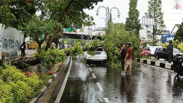 Hujan Angin di Bandung, Pohon Tumbang Timpa Mobil Berisi Ibu dan Anak