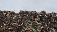 Ilustrasi Tempat Pembuangan Sampah Credit: pexels.com/Emmet