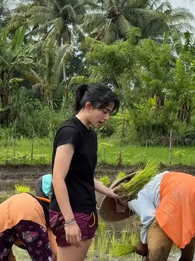 Niat Lari Pagi, Intip 5 Potret Sintya Marisca Berakhir Nyemplung ke Sawah Bantu Petani Menanam Padi (credit: instagram.com/sintyamarisca).