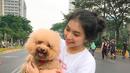 Beberapa momen, member JKT48 team KIII ini juga sering terlihat car free day (CFD). Ia bahkan membawa anjing peliharaannya untuk menikmati suasana pagi hari di Jakarta. Lucunya anjing yang dibawa Gracia, membuat netizen jadi gemas melihatnya. (Liputan6.com/IG/@jkt48gracia)