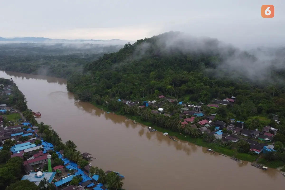 Hutan Hujan Tropis Kalimantan