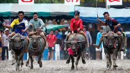 Sejumlah Joki saat bersaing pada festival lomba balap kerbau di Chonburi, Bangkok, Thailand  (16/7). Festival tahunan itu diikuti puluhan petani di Chonburi untuk merayakan panen padi. (AP Photo/Sakchai Lalit)