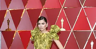Hadir di ajang Oscar 2017 para aktor dan aktris tampil dengan maksimal. Terlihat  dari cara berpakaian yang mereka kenakan, baik gaya dan warnanya berhasil memikat orang-orang yang hadir saat itu. (doc.dailymail.com)
