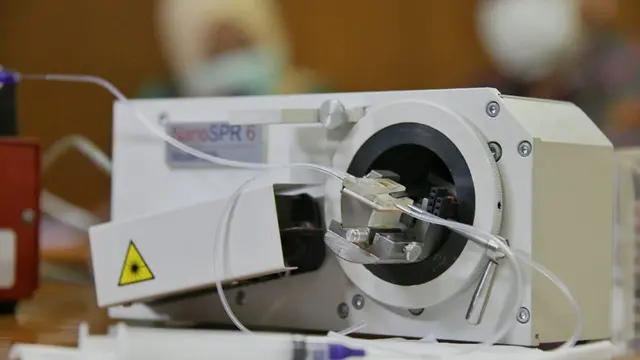 Rapid Test 2.0