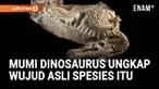 Peneliti di Amerika Serikat menemukan dua mumi dinosaurus yang masih menyimpan bekas kulit dan jaringan lunak. Penemuan langka ini membantu ilmuwan merekonstruksi bentuk asli dinosaurus purba dan memahami perkembangannya.