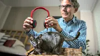 Musik untuk Kucing Dijamin Buat Piaraan Anda Santai