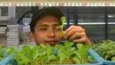 Pertanian vertikal sangat efisien dalam penggunaan lahan karena menanam tanaman secara bertingkat. (merdeka.com/Arie Basuki)