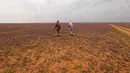 Orang-oran berjalan di gurun pasir yang diselimuti bunga lavender di kota Rafha, dekat perbatasan dengan Irak, pada 13 Februari 2023. Akibat curah hujan yang melimpah, terutama di wilayah barat Arab Saudi, beberapa daerah jadi tertutup tanaman hijau secara tidak biasa. (Fayez Nureldine / AFP)