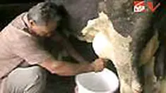 liputan6