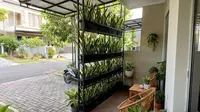 10 Desain Teras Rumah Kecil Tapi Asri dengan Kebun Vertikal, Sejuk Tanpa Lahan Luas