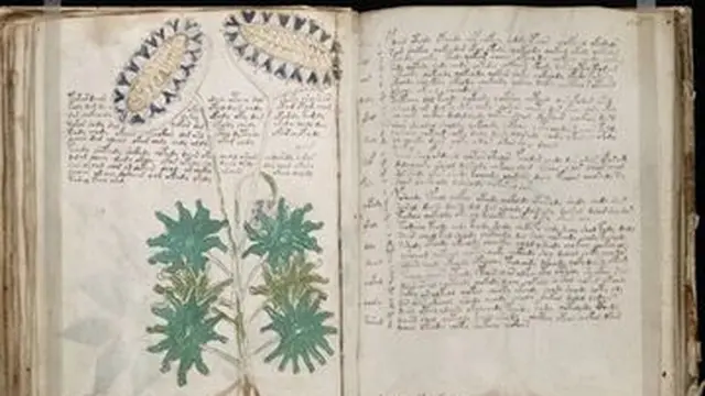 Manuskrip Voynich