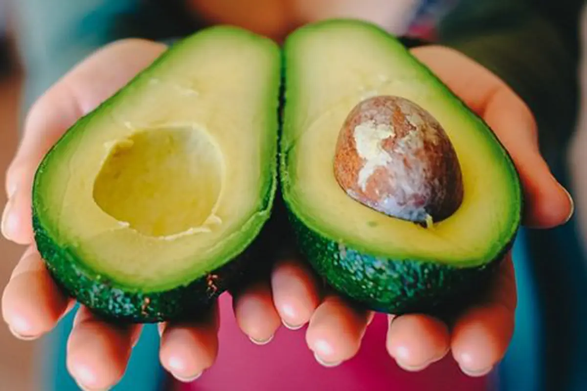 Diet alpukat/copyright Pixabay.com