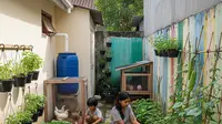 8 Cara Mengubah Pekarangan Sempit Menjadi Sumber Pangan Keluarga Mandiri