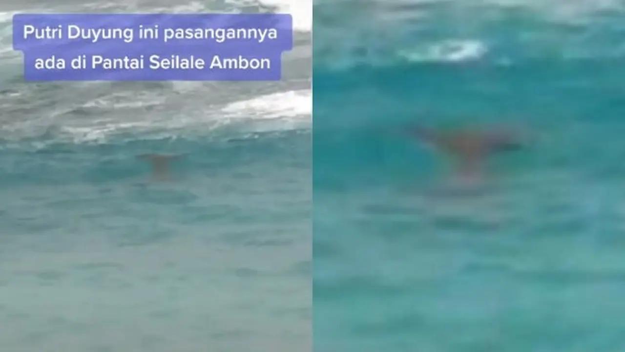 Viral Penampakan Diduga Putri Duyung Tertangkap Kamera di Pantai Latulahat Ambon