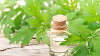 Mugwort/copyright shutterstock by AmyLv
