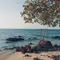 Heboh Pulau Menjangan Kecil Dijual Rp 500 Miliar, Ini Faktanya