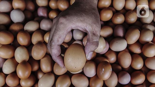 FOTO: Harga Telur Ayam Hampir Sentuh Rp 30 Ribu per Kg