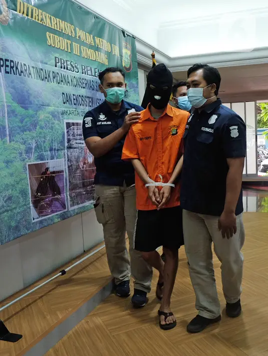 Petugas membawa tersangka usai dihadirkan dalam rilis kasus perdagangan satwa dilindungi di Mapolda Metro Jaya, Kamis (28/1/2021). Dari tangan tersangka berinsial YI diamankan barang bukti, yaitu satu orang utan, tiga burung beo Nias dan tiga lutung Jawa. (Liputan6.com/Herman Zakharia)