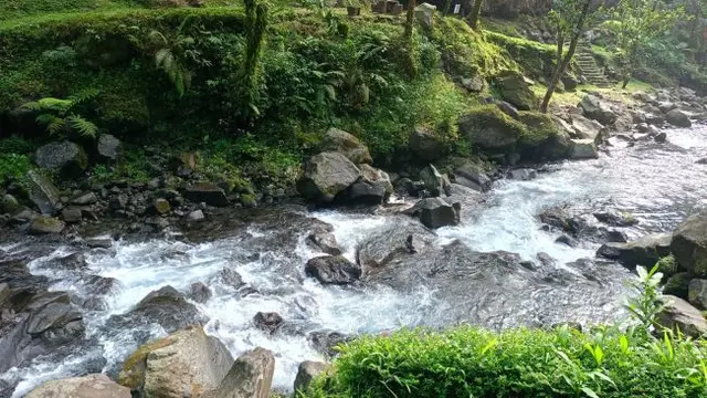 Curug Jenggala, Destinasi Camping Murah Meriah di Kaki Gunung Slamet