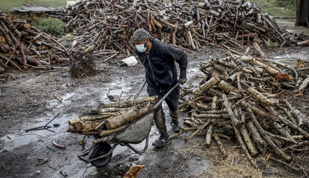 Pekerja memindahkan kayu di fasilitas produksi arang al-Hattab, sebelah timur Kota Gaza, Palestina, 28 Januari 2021. Pohon yang dipakai untuk pembuatan arang seperti jeruk, Elkinia, dan Olivewood. (Mohammed ABED/AFP)