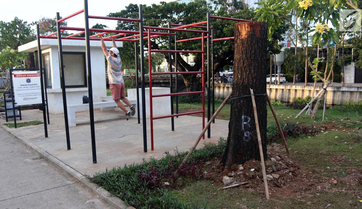 Luar Biasa Jenis Jenis Pohon Mahoni - Bunga Hias
