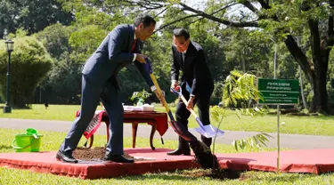 Presiden Joko Widodo (Jokowi) dan Perdana Menteri China Li Keqiang menanam pohon kamper di halaman belakang Istana Bogor, Senin (7/5). Penanaman pohon itu sebagai tanda persahabatan kedua negara yang semakin tumbuh dan berkembang. (Beawiharta/Pool via AP)