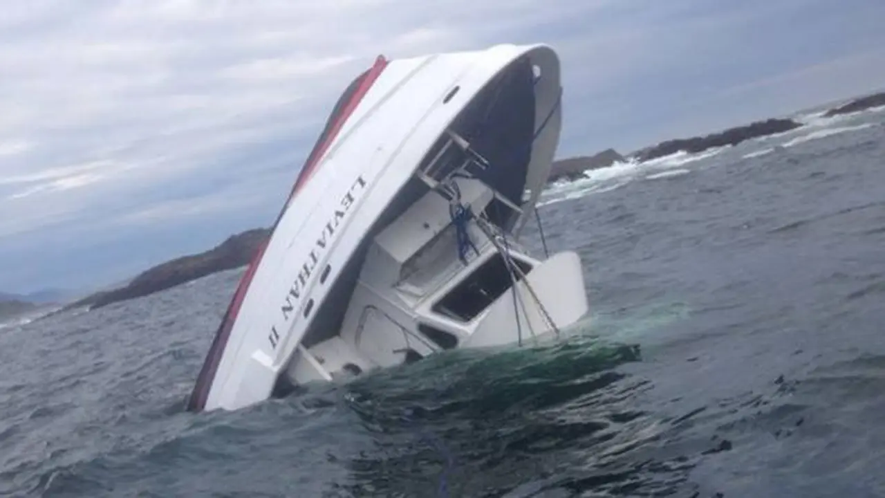 Perahu Tur Ikan Paus Tenggelam di British Columbia, 5 Tewas