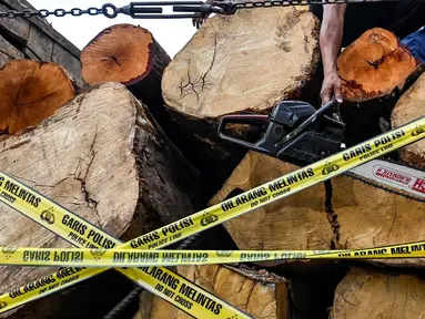 Polisi menyita gergaji mesin dari truk yang mengangkut kayu ilegal dari hutan lindung di Banda Aceh pada Rabu 27 Agustus 2025. (CHAIDEER MAHYUDDIN/AFP)