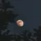 Titik untuk Melihat Hunter's Moon, Ini Waktu Terbaik untuk Menyaksikannya