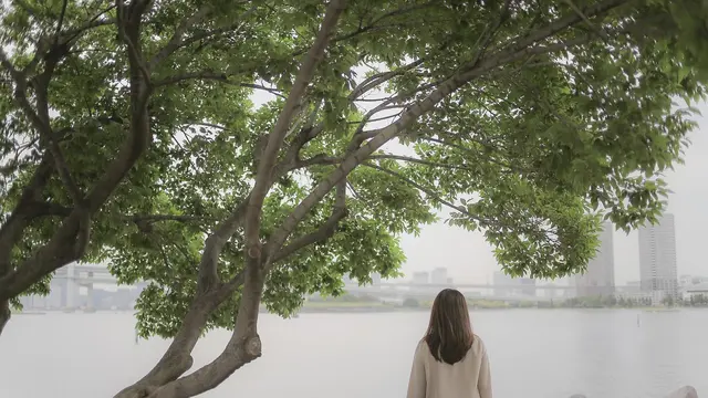 Rahasia Karisma yang Membuatmu Tidak Lagi Diremehkan, Teknik yang Memikat dan Inspiratif