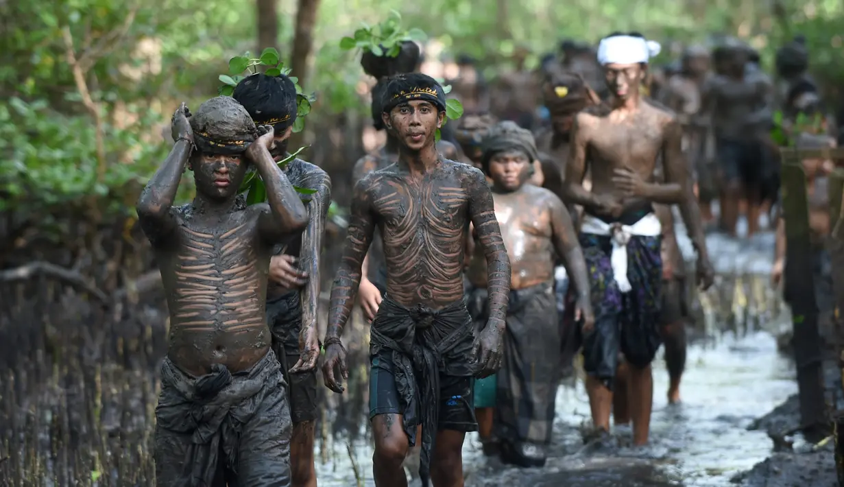 Warga berjalan menyusuri hutan mangrove saat mengikuti tradisi mandi lumpur atau mebuug-buugan di Desa Kedonganan, Denpasar, Bali, Jumat (8/3). Tradisi ini bermakna membersihkan diri dari dosa-dosa yang setahun belakangan dilakukan. (Sonny Tumbelaka/AFP)