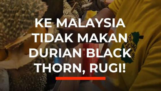 Ke Malaysia Tidak Makan Durian Black Thorn, Rugi!