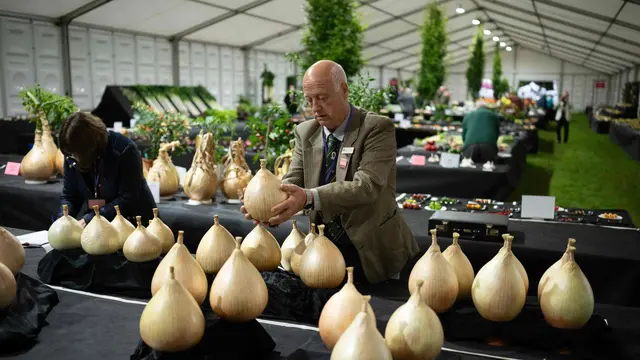 Incredible Edible Pavilion