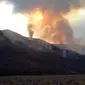 Kebakaran padang savana di Gunung Bromo. (Liputan6.com/Zainul Arifin)